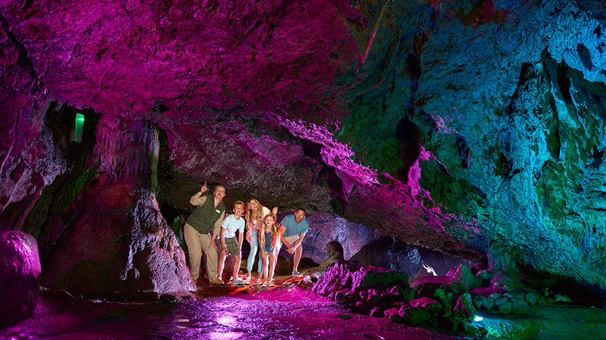 A guide in an underground cave which is illuminated with purple lighting points out some highlights to a family of four who are all looking upwards